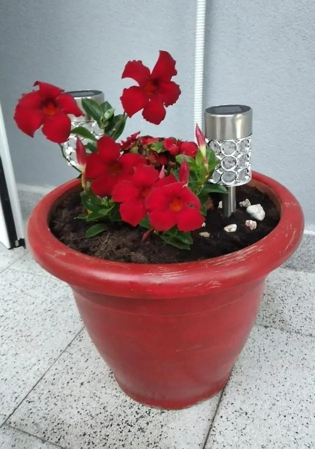 Apartman Ivano Kastela 0*,